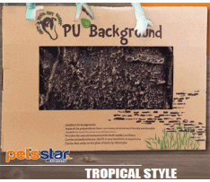 Get Your Pet Right Pu Background Tropical Style